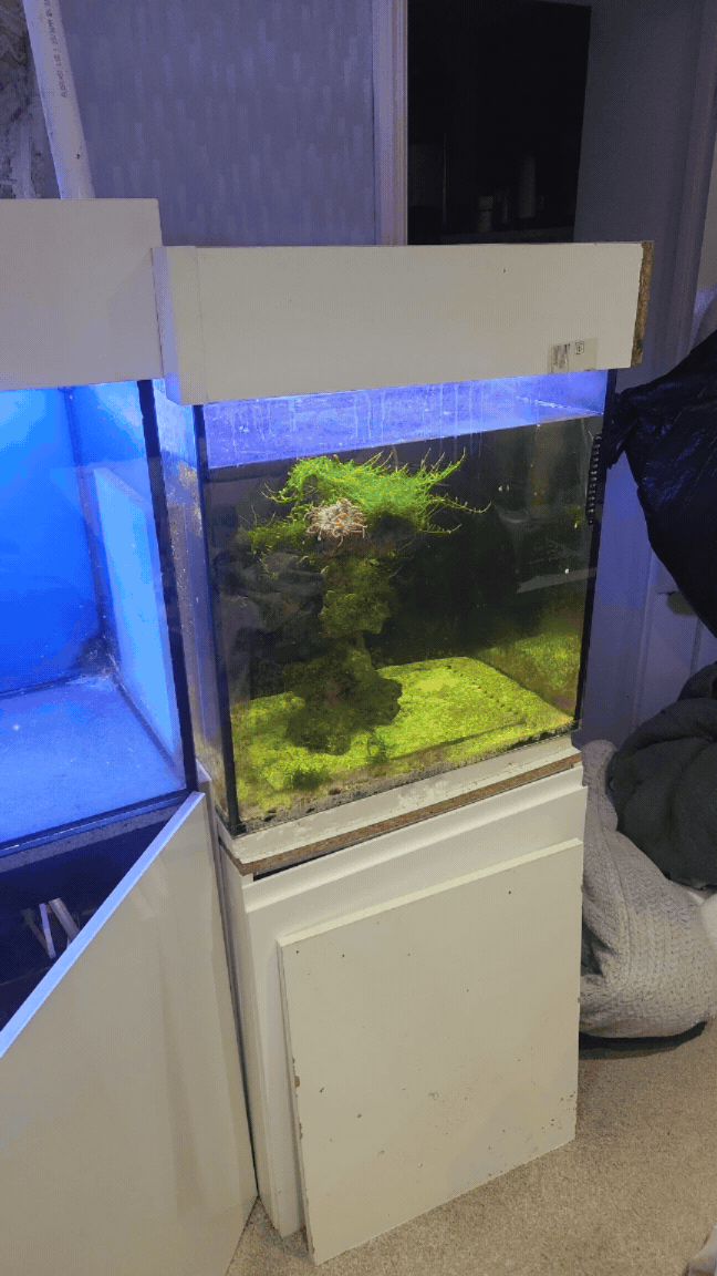 Complete tank reset and maintenance demonstration